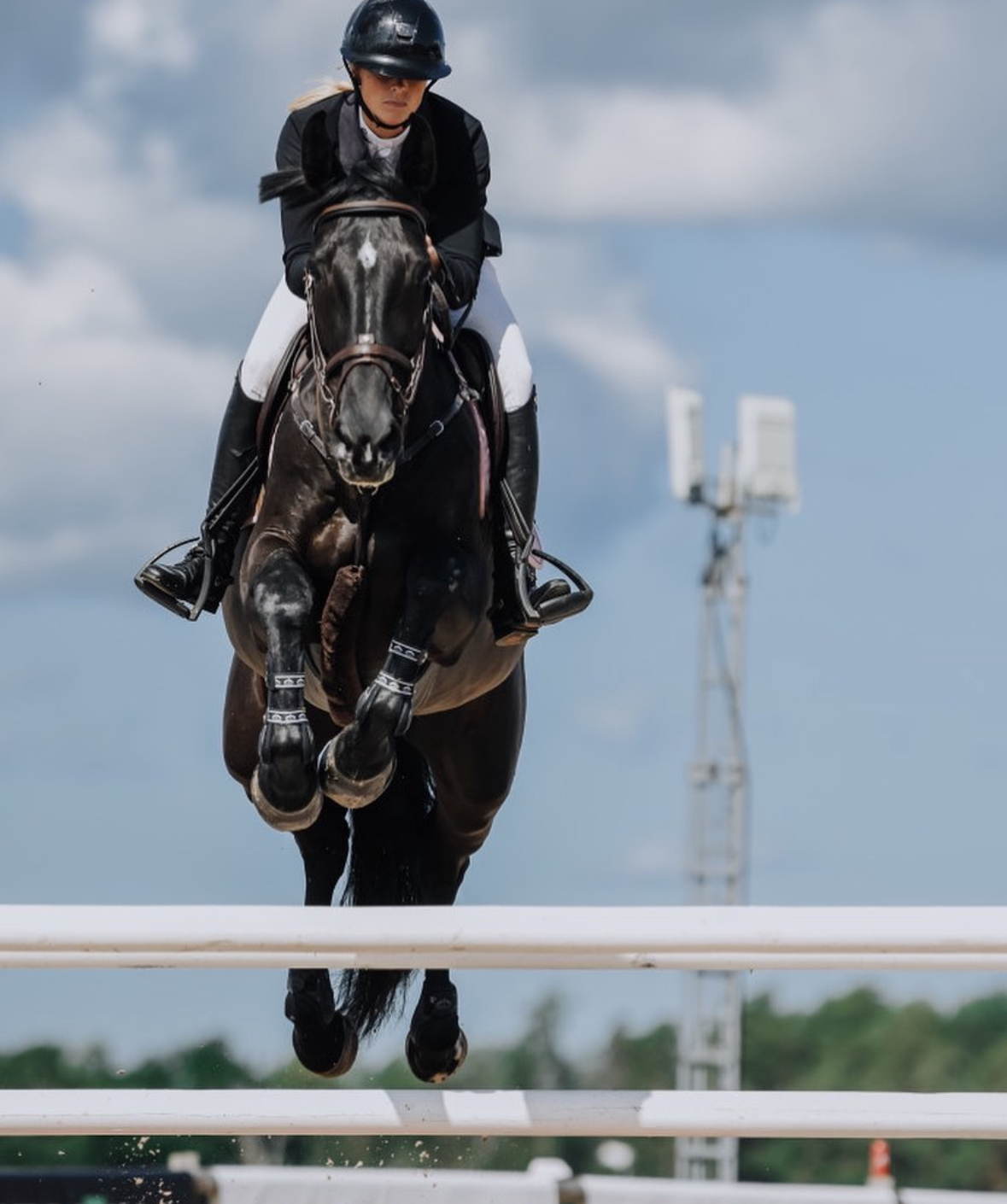 Additional Horse Image