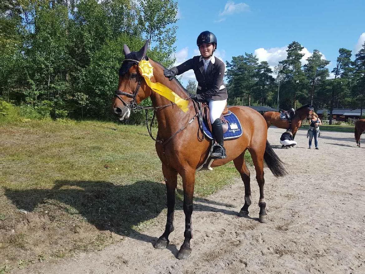 Additional Horse Image